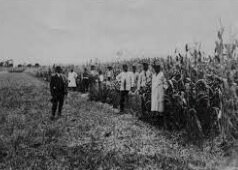 Primeros subsidios agrícolas y ganaderos