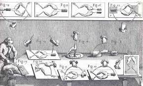 Fuerzas en el movimiento muscular.