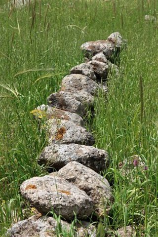 Line of Stones