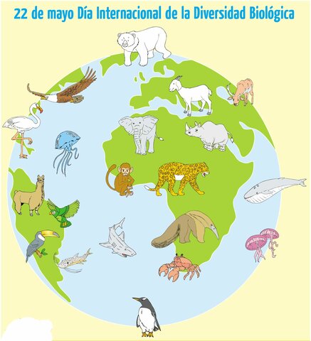 Día Internacional de la Diversidad Biológica