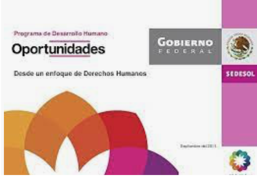 Programa de desarrollo humano