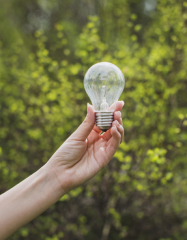 Conferencia internacional: medio ambiente y sociedad educacion y sensibilización para la sociedad, declaración de Salónica Grecia