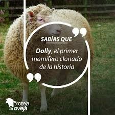 Nace la oveja Dolly.