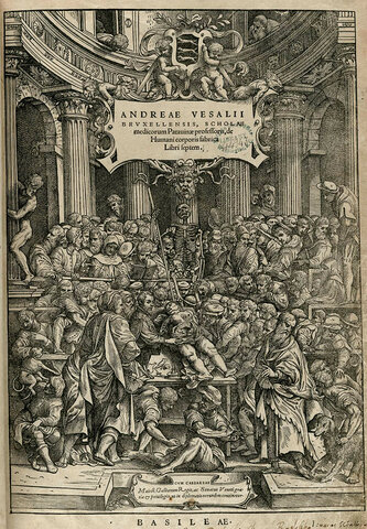 Vesalio