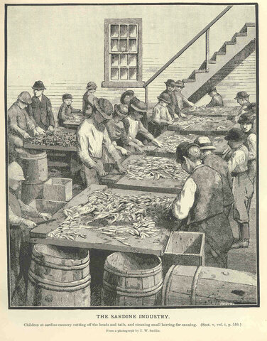 1901 EXPLOTACIÓN INFANTIL