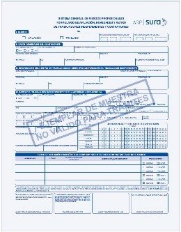 2018    	Resolución 3310