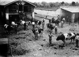 Programas asistenciales.