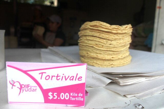 Programa de maíz tortilla.