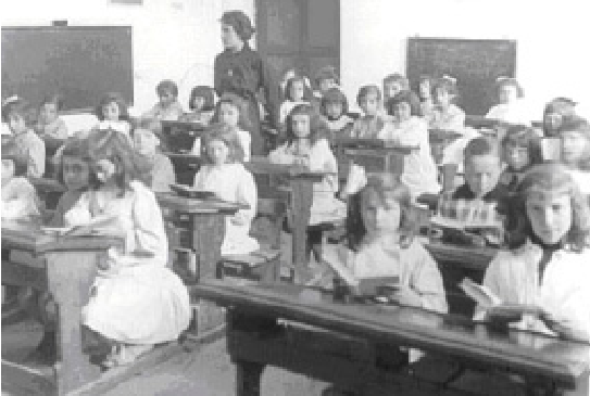 Decreto 227 para escuelas