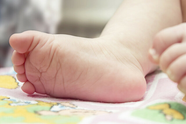 Días 35-38 (5º-6º semana).