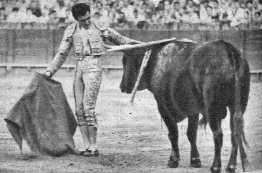 PRUEBAS DE RETRASMICIÓN DE LA RCA