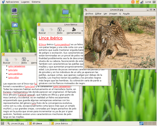 se desarrolla el sistema de ventanas X bajo el nombre X1.