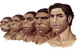 La teoría de la evolución de Darwin