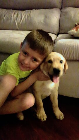My first dog