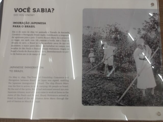 Do Japão para o Brasil