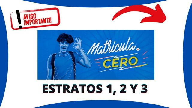 Decreto 1667 - Matrícula Cero