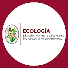 Dirección General de Ecología Urbana