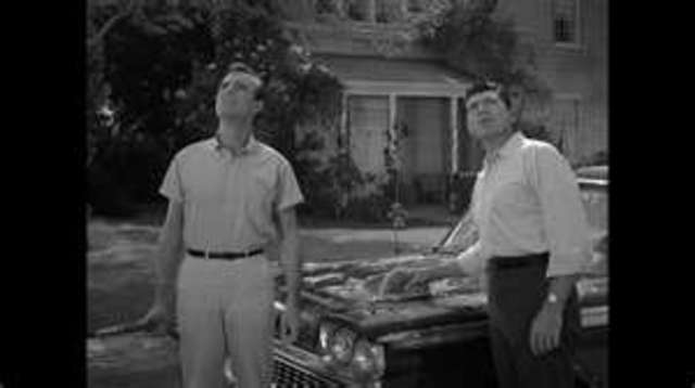 Steve and Don see something