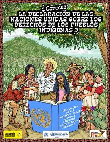 Declaración de las Naciones Unidas sobre los derechos de los pueblos indígenas 2009