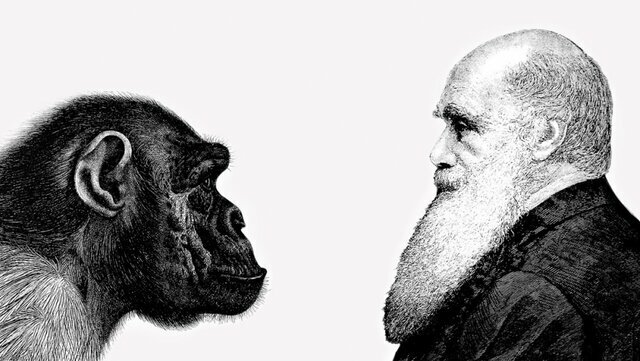 Ciencia: Surge la Teoría de la Evolución año 1859