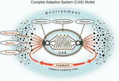 Sistema adaptativo complejo (CAS)