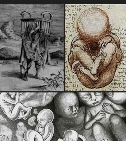 Concepción de Nacimiento.