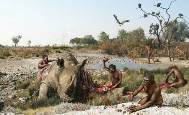 Comportamientos (Alimentación)