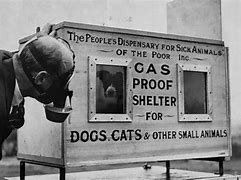 Humanismo 3.0 problemas sociales