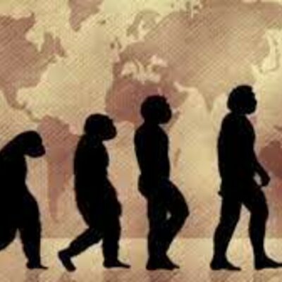 Timeline: Teorías de la evolución