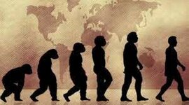 Timeline: Teorías de la evolución