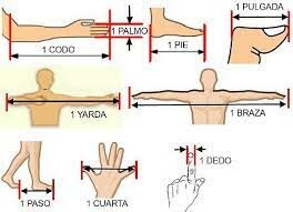 Unidades Antropomórficas