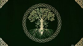 Timeline: Lifespan Development- Lilly's stages