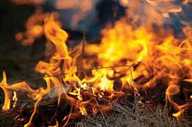 Foc