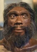 Homo heidelbergensis