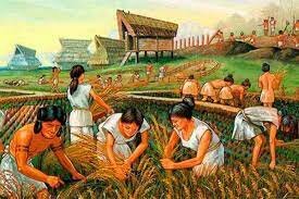 AGRICULTURA