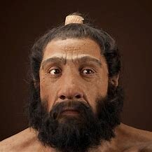 Homo neardenthalensis
