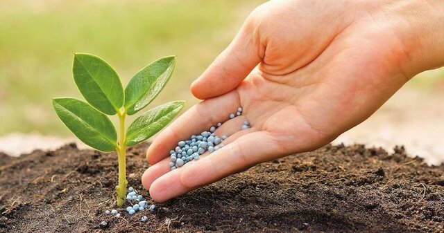 FERTILITZANTS QUÍMICS