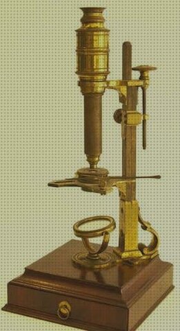 El microscopi compost