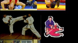 Timeline: Historia de los deportes de combate