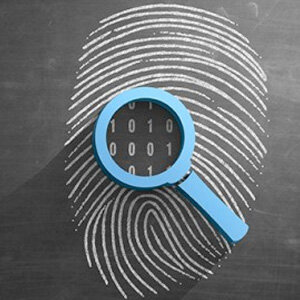 Empieza la investigación