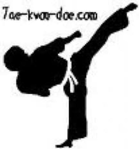 I went to a taekwondo championship (Minor)