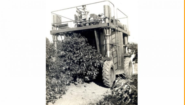 Jacto lança a primeira colhedora de café do mundo