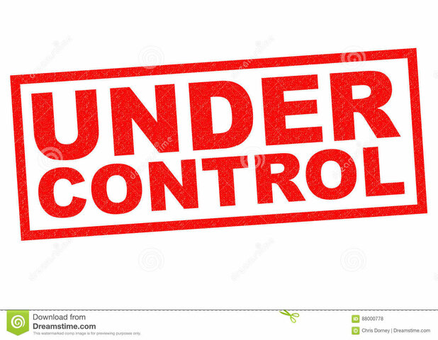 Bellingham is in Control