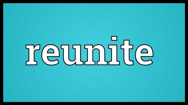 The Reunite