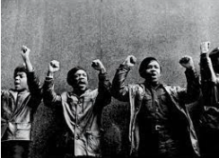 Black Panther Party is Formed