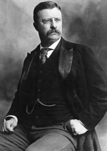 Theodore Roosevelt is elected as President