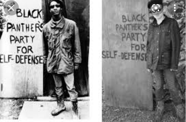 Black Panther Party is formed