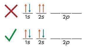 Pauli Exclusion principle and Magnetic spin