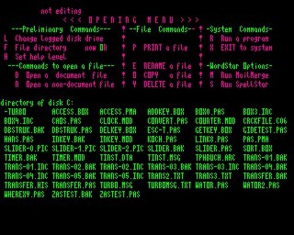 Procesador Word star