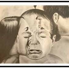 ley prevenir sancionar y remediar maltrato